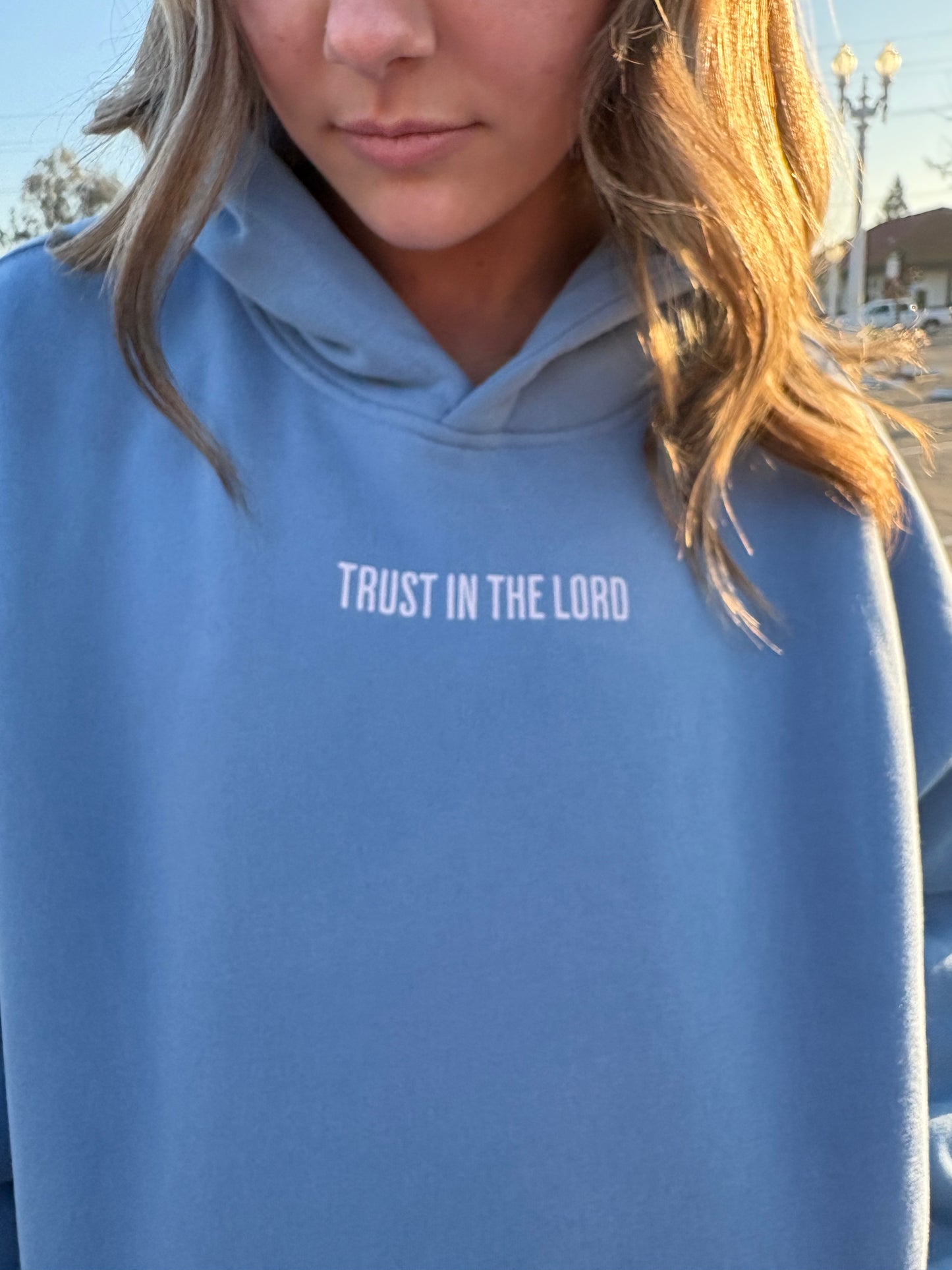 TRUST IN THE LORD hoodies