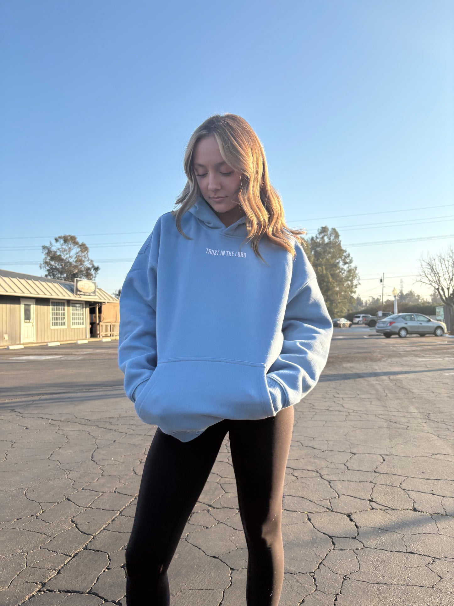 TRUST IN THE LORD hoodies