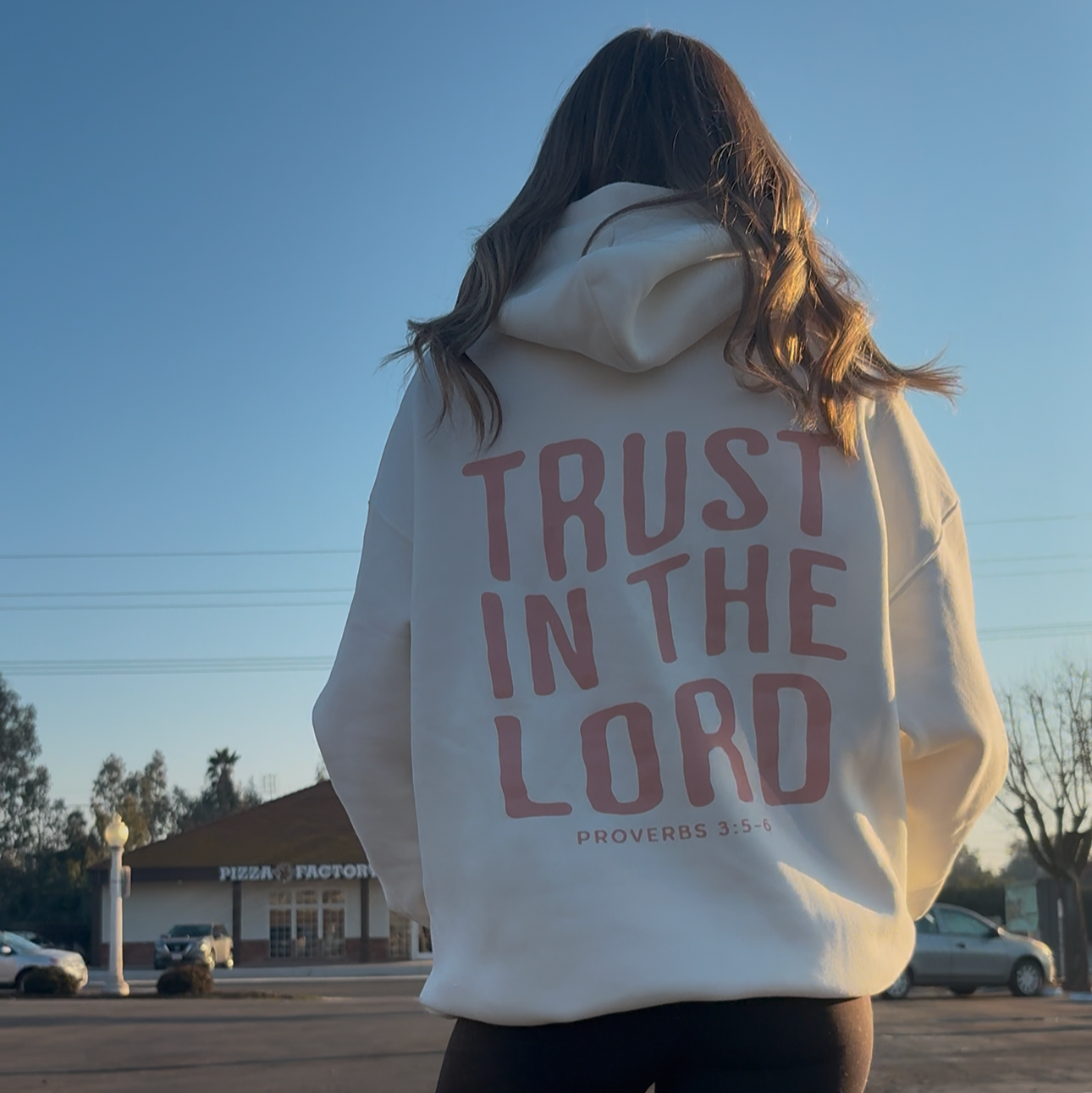 Trust In the Lord Hoodie