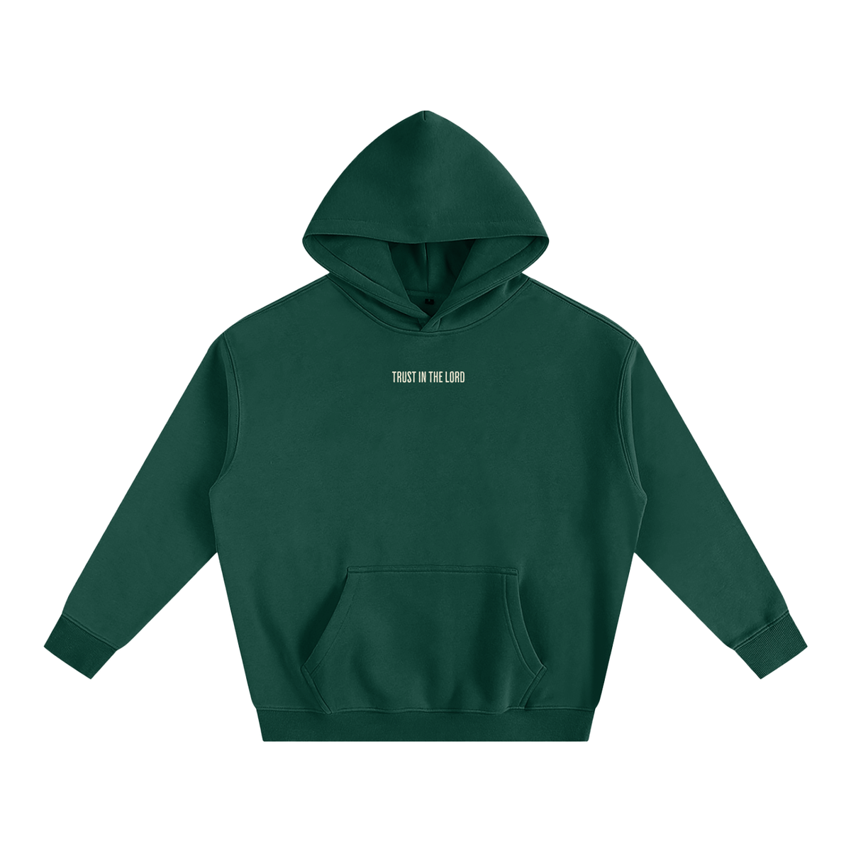 TRUST IN THE LORD Hoodies unisex